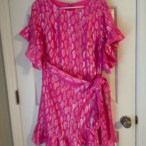 NWT Lilly Pulitzer Dress 14
